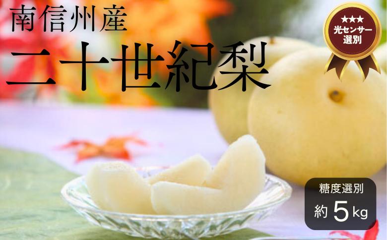 
            JA07-25A 梨 二十世紀 約5kg／2025年9月上旬～9月下旬ごろ配送 // 糖度センサー選別 厳選 南信州 長野県 和梨 なし ナシ 新鮮 厳選 贈答
          