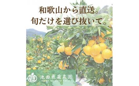 柑橘 定期便 SS【全3回】厳選【 和歌山県 有田 】 ※北海道・沖縄・離島への配送不可 / 定期便 フルーツ ゆら早生みかん 有田みかん 3回 【ikd050-ss-p】