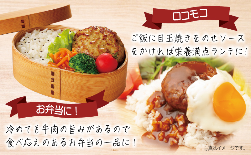 【特別規格】牛肉100％ 特製ハンバーグ 120g×6個 個包装 お試し 005A661