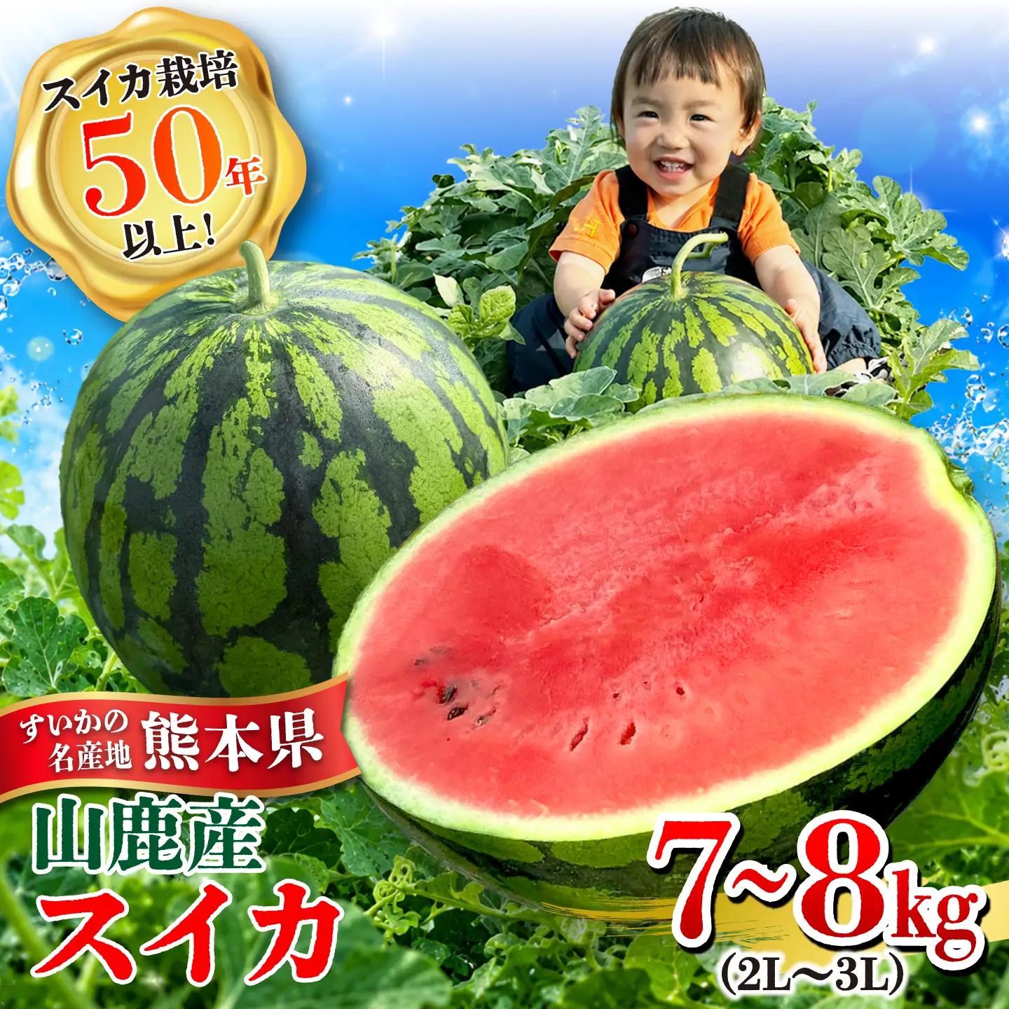 大玉スイカ 7～8kg（2L～3L） すいか 大玉 フルーツ 野菜 果物 山鹿市 【山下農園】[ZGA001]