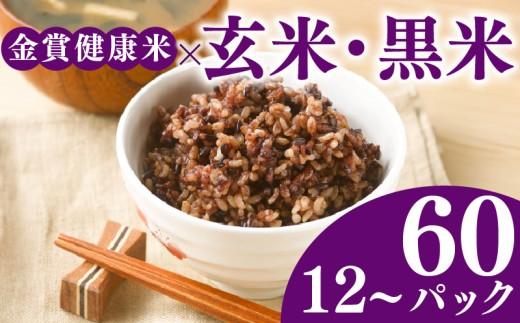 ご飯パック 金賞 健康米 玄米・黒米  120g×48個入り 国産 レンチン もち麦 軽食 夜食 簡単 白米 麦 食物繊維 ビタミン 御飯 ごはん パック ご飯 パックライス