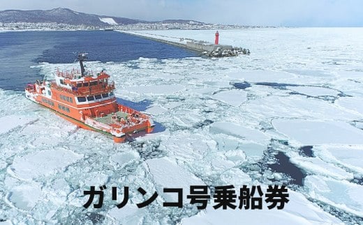 
            14-96 ガリンコ号Ⅲ IMERU 冬期運航 流氷クルーズ乗船券
          