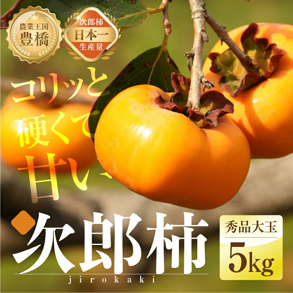 【ふるさと納税】≪先行予約≫ 生産量日本一 石巻産 次郎柿 5kg（秀品 大玉）（15〜20玉）柿 甘柿 果物 フルーツ 10月 11月 愛知県 豊橋市
