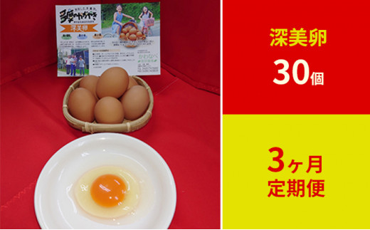 【定期便】かわなべ鶏卵農場のこだわりのたまご　深美卵30個　3ヶ月連続お届け [№5714-0143]