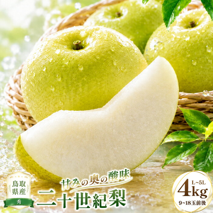 【ふるさと納税】二十世紀梨　秀4kg
