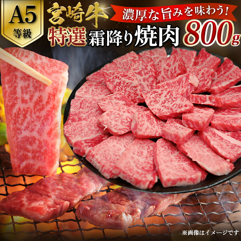 【ふるさと納税】【A5等級】宮崎牛特選霜降り焼肉 800g（400g×2P）宮崎牛 ブランド牛 和牛 牛肉 焼肉 特選和牛 霜降りA5 国産牛 牛 肉 お肉 ふるさと 人気 おすすめ 贈答 ギフト お裾分け プレゼント 精肉 小分け 宮崎県 小林市 送料無料