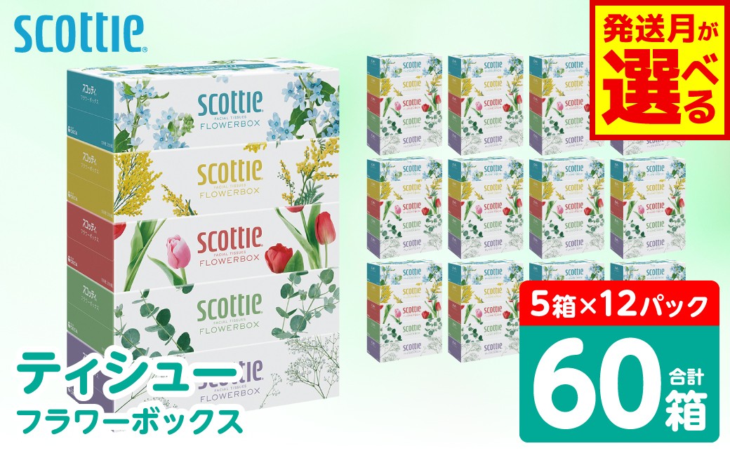 
                  【選べる発送月】 【スコッティ】 ティシュー フラワーボックス 250組 60箱 ティッシュ 日用品 生活必需品 防災備蓄 ストック 備蓄 新生活 防災 消耗品 生活用品 日用消耗品 箱ティッシュ
                