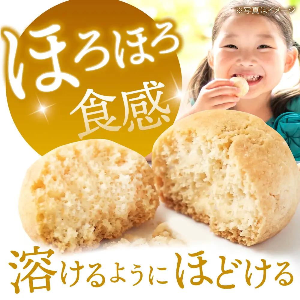 焼き菓子 詰め合わせ 9袋 多治見市 / 社会就労センターけやき おやつ [TAM007] おやつ