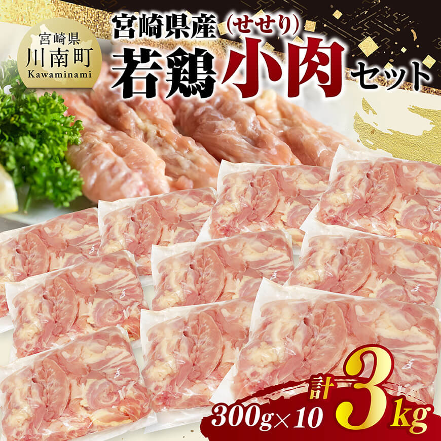 宮崎県産若鶏　小肉(せせり)3kg（300g×10）　鶏肉 せせり 小肉 [C11606]