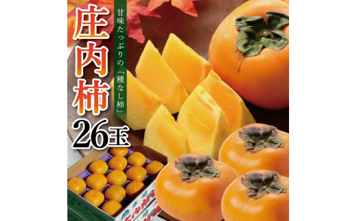 【先行予約】庄内柿 約5kg 26玉 種無し柿 10月下旬～11月中旬頃お届け 果物 フルーツ かき カキ 果物 ギフト 贈答 化粧箱 山形 酒田 木川果実店 SB0903