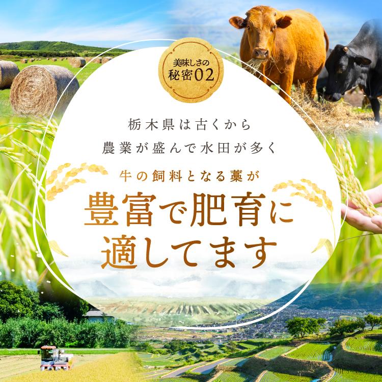 栃木県産黒毛和牛切り落とし 500g｜数量限定 黒毛 和牛 牛肉 国産牛 国産 ブランド牛 お肉 切り落とし サシ 霜降り 甘い ステーキ すき焼き しゃぶしゃぶ 焼肉 切落し 上品 アレンジ 美味し