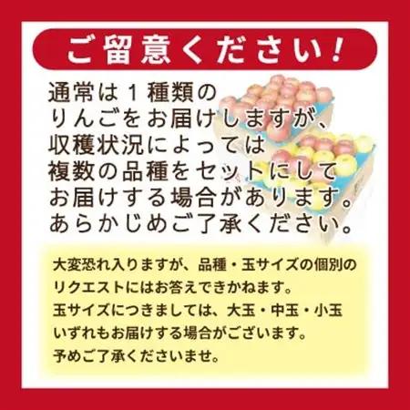 りんご 品種おまかせ 約3kg 訳あり CA貯蔵 クール便_果物・フルーツ りんご  リンゴ 林檎_【配送不可地域：離島・沖縄県】【1612943】
