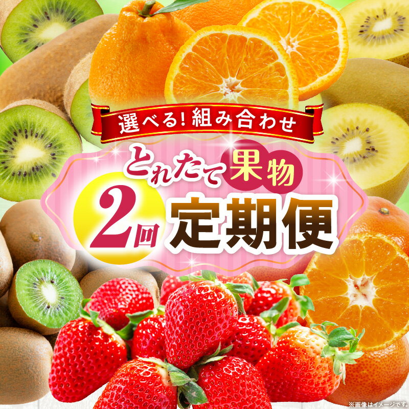 【ふるさと納税】【選べる組み合わせ】とれたて果物 2回定期便 果物 フルーツ 果物定期便 フルーツ定期便 定期便 2回 いちご キウイ デコポン ゴールドキウイ みかん 濃厚 旬の果物 定期 人気 おすすめ 贈答 贈り物 青果物 糖度 香川県 三木町 送料無料 レビューキャンペーン