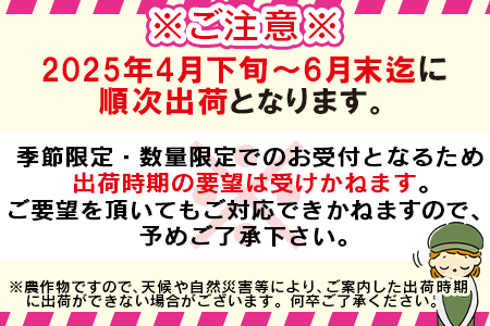 ★2025年出荷★予約受付！数量限定＜宮崎県産 完熟マンゴー A等級 2Lサイズ×2玉（合計約700g）＞2025年4月下旬～6月末迄に順次出荷【 果物 マンゴー フルーツ マンゴー スイーツ マンゴ