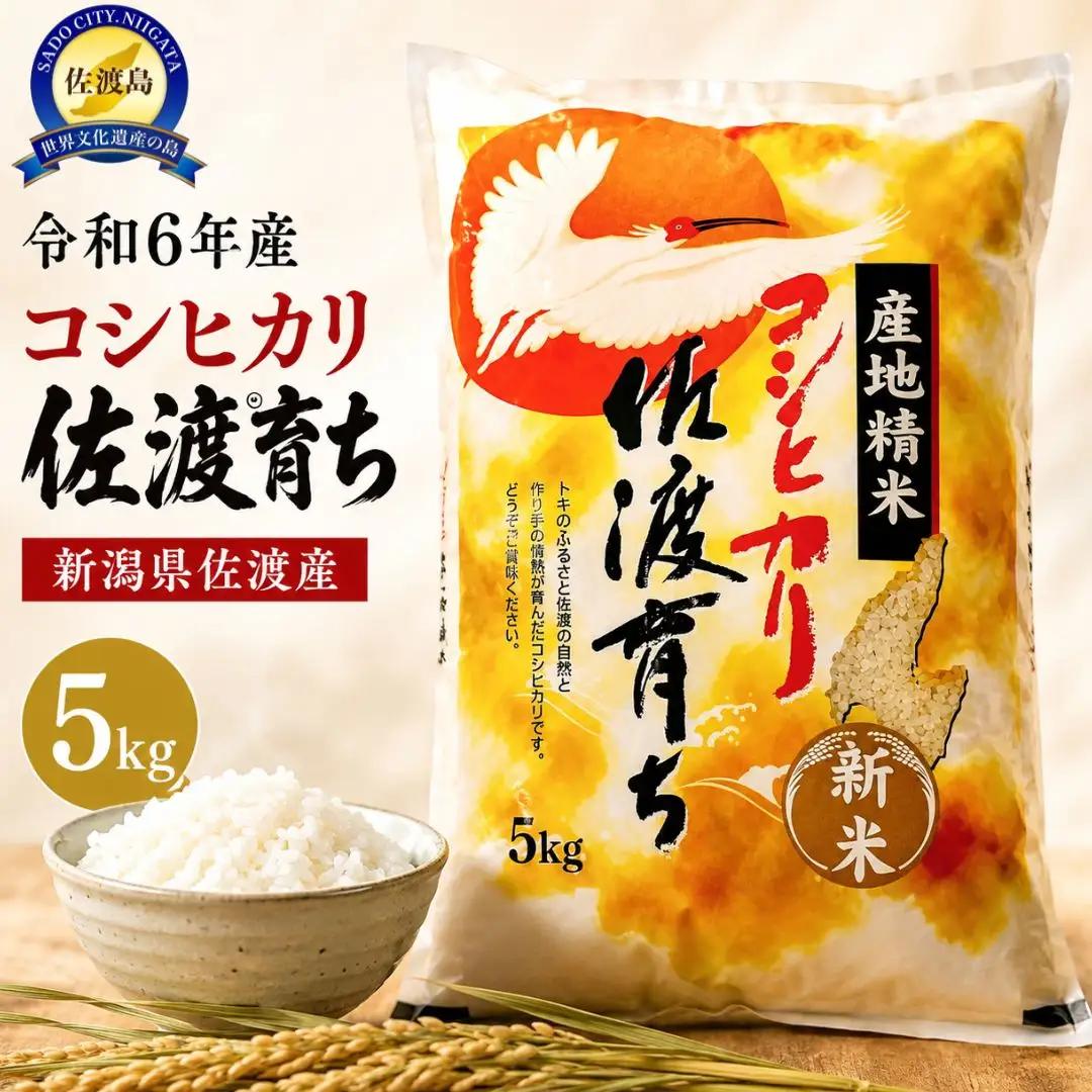 コシヒカリ 精米 5kg | 新潟県 佐渡市 コシヒカリ