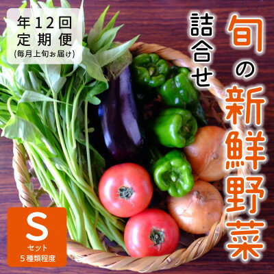 【ふるさと納税】【発送月固定定期便】『大阪能勢産』べじたぶるぱーくの新鮮野菜詰合せ　Sセット(5種類)上旬全12回【配送不可地域：離島】【4062852】