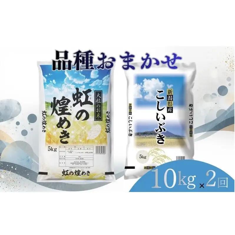 【6月下旬より配送】 新潟県産 品種おまかせ 10kg  2か月定期便 新潟県 新潟市産 令和7年産 お米 精米 米 ご飯 送料無料