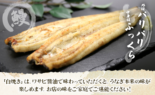 うなぎ 定期便 12回 うなぎ白焼き120g 3尾(無頭) Wun-0042