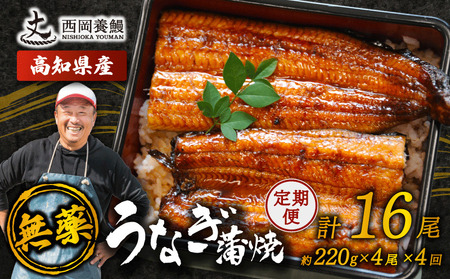 【 うなぎの蒲焼き 】 うなぎの蒲焼 定期便 計16尾 ( 220g × 4尾 × 4回 )