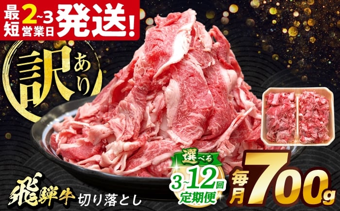 
            【選べる定期便回数】 飛騨牛 切り落とし 700g 多治見市 / 養老ミート 冷凍 赤身 和牛 訳あり ギフト [THG017]
          