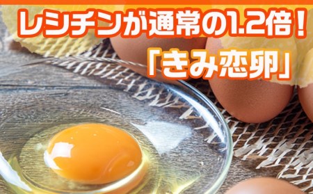 「きみ恋卵」たまごかけご飯セット_11-2904_(都城市) きみ恋卵 Ｍサイズ 醤油 たまごかけご飯専用醤油「玉子ちゃん」 甘口 卵かけご飯 レシチン 朝ごはん 朝食