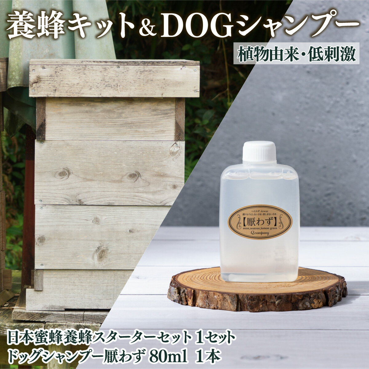 【ふるさと納税】サポートも致します「日本蜜蜂養蜂スターターキット」＆携帯用「ドッグシャンプー　厭わず」80ml【Qcompany】【P-D1】