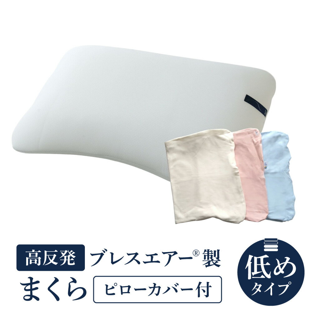 【ふるさと納税】【ピローカバー付】高反発ブレスエアー製まくら 低めタイプ 近江化成工業株式会社 滋賀県 東近江市 D29 枕 まくら ピロー 低め 高さ調整 ブレスエアー 肩こり 首こり いびき 寝姿勢サポート 洗える 通気性 快眠 安眠