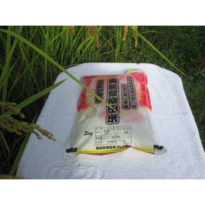 ふるさと納税 能登町 奥能登柳田米　こしひかり2Kg(令和7年産) |  | 01