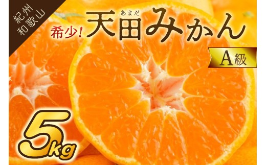 希少！天田みかん（紀州和歌山）A級5kg《先行予約》