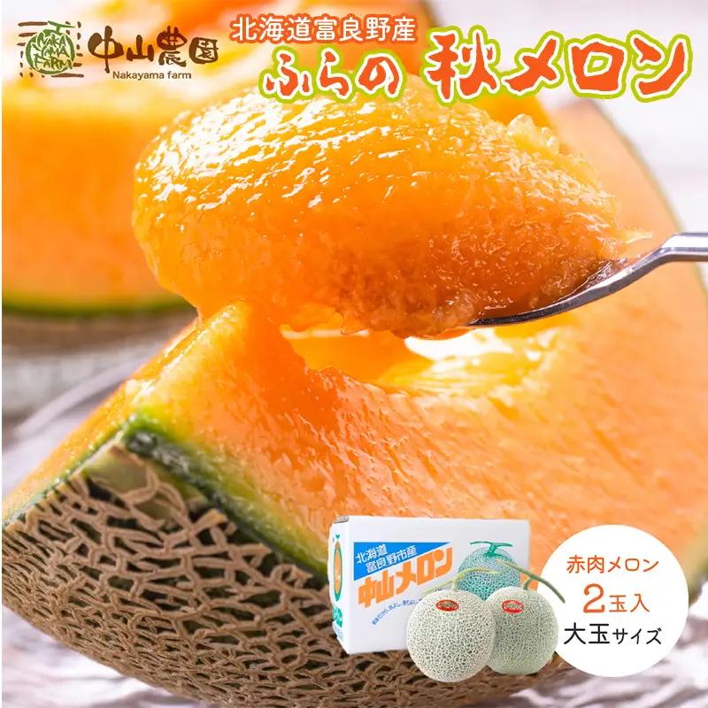 富良野メロン 赤肉 秋メロン 大玉 富良野メロン【2玉 計3.2kg以上】[先行予約]
