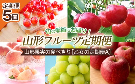 【定期便5回】山形果実の食べきり[乙女の定期便A] 【令和6年産先行予約】FU22-771