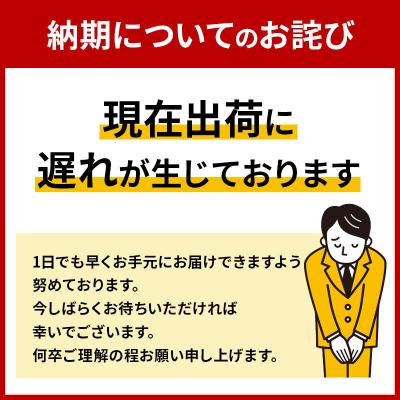 ふるさと納税 秋田市 《2回定期便》ティッシュペーパー スコッティ10箱 5箱×2P|15_nsc-050202 |  | 02