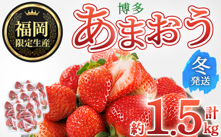 ＜先行予約受付中！2026年12月上旬以降に順次発送予定＞ 博多あまおう・冬 (計約1.5kg) いちご 苺 フルーツ 果物 くだもの 福岡限定 家庭用 冷蔵＜離島配送不可＞【ksg1738】【農産物直売所ほたるの里】