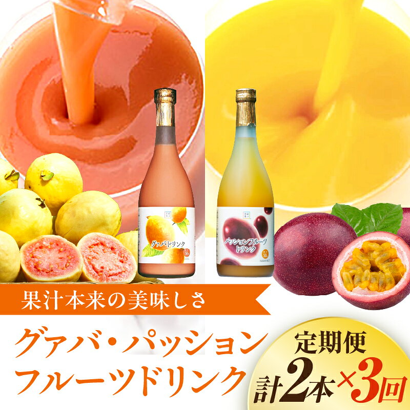 【ふるさと納税】【定期便・全3回】驚きの果実感！グァバ・パッションフルーツドリンク2本セット(各720ml)×3回 ドリンク フルーツドリンク 果汁入り飲料 トロピカルジュース 飲み比べ セット 詰め合わせ 贈答 贈り物 ギフト プレゼント 宮崎県 串間市 送料無料