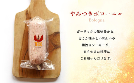 自家製ハム・ソーセージ専門店TESIO「手始めTESIO」セット（合計480g） 牛肉 豚肉 専門店 自家製 ドイツ製法 ソーセージ ウィンナー ウインナー ボローニャ モルタデッラ ハム お試し グ