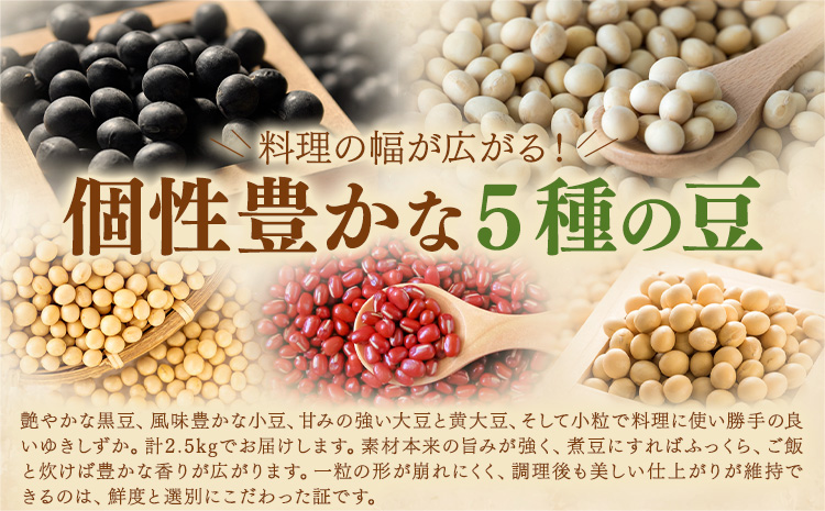 本別 豆 セット 各500g 5種類 2.5kg 特定非営利活動法人 銀河ほんべつ《30日以内に出荷予定(土日祝除く)》大豆 黒豆 小豆 ゆきしずか 黄大豆---hsh__30d_26_11500_2