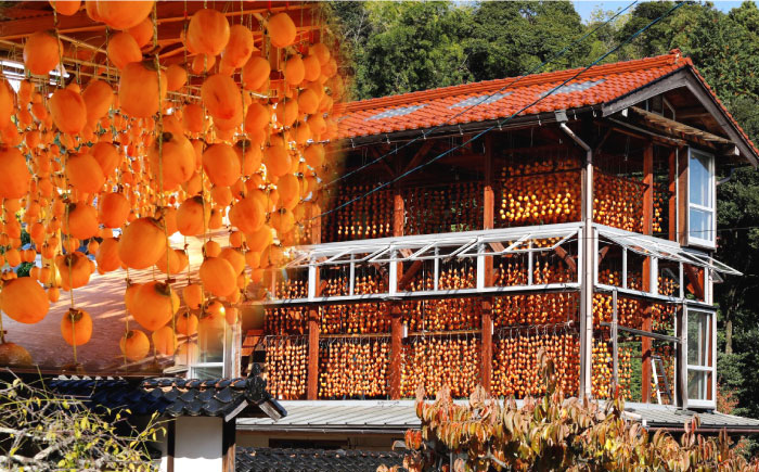 東出雲の畑ほし柿 25個入 島根県松江市/畑ほし柿生産組合 [ALBV002] 柿