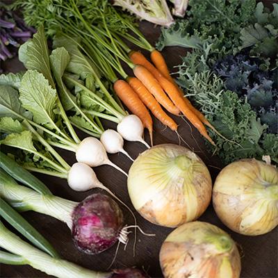 ふるさと納税 土庄町 【毎月定期便】瀬戸内小豆島そだちの旬野菜セット全12回 |  | 01