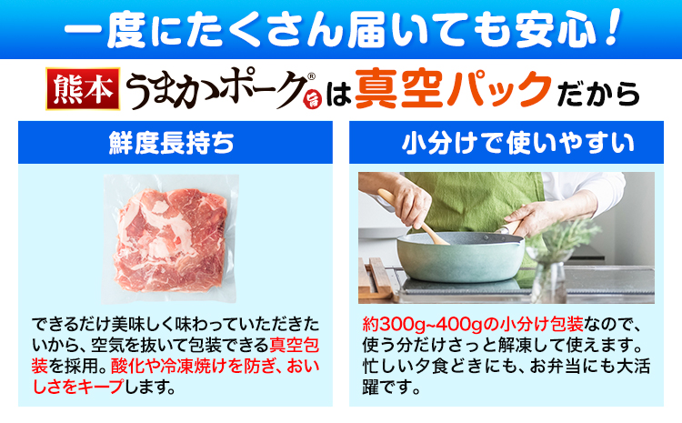 【6ヶ月定期便】豚肉 ミンチ 7.2kg 豚  小分け 訳あり 訳有 ひき肉 うまかポーク 傷 規格外 ぶた肉 ぶた 真空パック 数量限定 簡易包装 冷凍 《お申込み月の翌月から出荷開始》