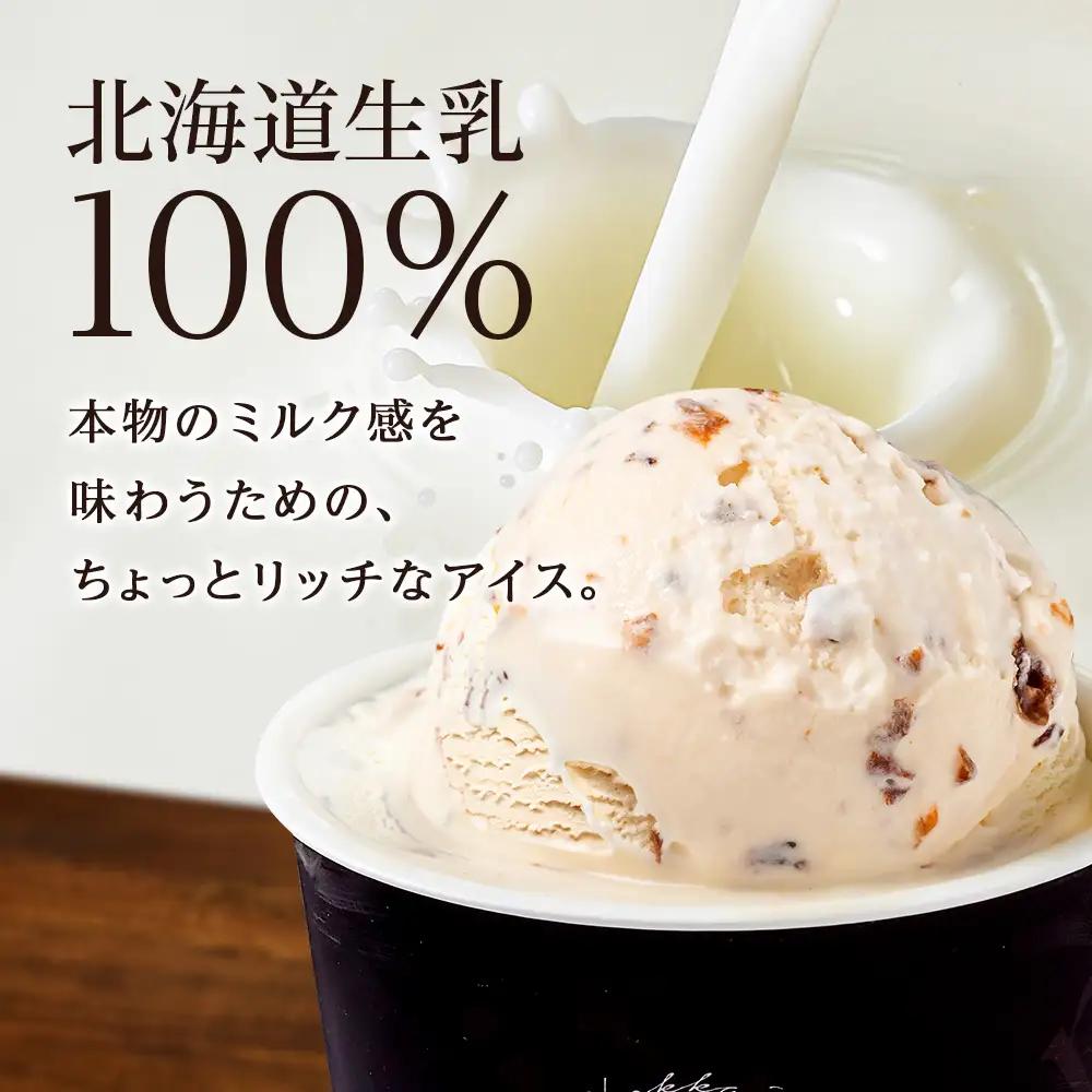 【定期便6ヶ月】リッチアイスクリーム 香り高い魅惑のラムレーズン　10個セット（100ml）