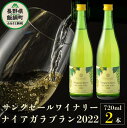 【ふるさと納税】 サンクゼール 人気 No.1 ワイン ナイアガラブラン （2022） 720ml × 2本 沖縄県への配送不可 長野県 飯綱町 信州 〔 父の日 母の日 敬老の日 誕生日 ギフト プレゼント お酒 酒 ワイン アルコール 白ワイン 17500円 〕