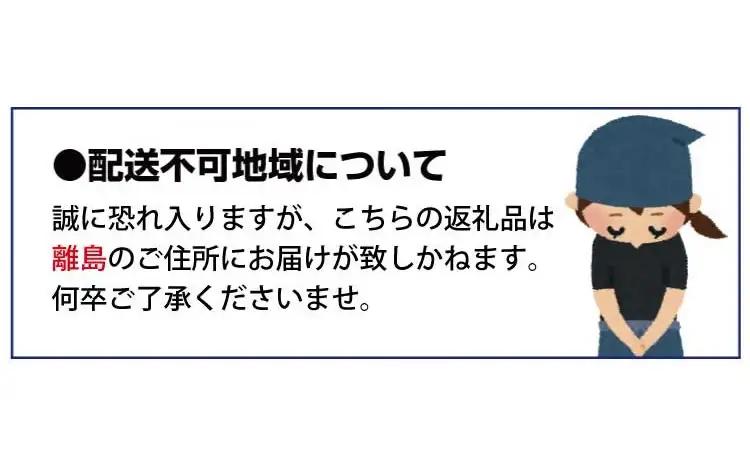【来シーズン先行予約】紀州和歌山ブランドいちご「紀の香」約250g×4P※2027年1月～2027年3月頃順次発送（お届け日指定不可）【uot868】