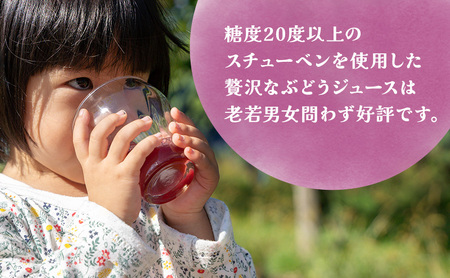 芽実農園のぶどうジュース（スチューベン100％）720ml×2本 青森県鶴田町産スチューベン使用 果汁飲料 無添加 果汁100％ ストレートジュース 
