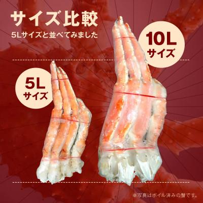 ふるさと納税 泉南市 ●【極太メガサイズ】生たらば蟹 生肩 10L以上(2肩合計約4.4kg以上) ふるさと納税3.0 |  | 02
