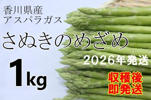 【先行予約受付開始！】2026年産　善通寺市産アスパラ｢さぬきのめざめ」１kg