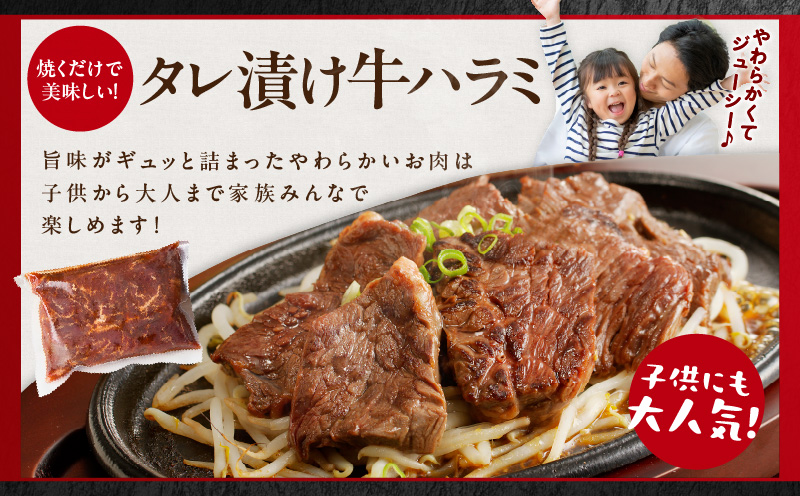 1位獲得の肉 定期便 全3回【牛肉 焼肉 牛タン ハラミ 牛ヒレ お肉 福袋 訳あり サイズ不揃い 毎月配送コース】 099Z309