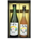 【ふるさと納税】梅酒飲み比べセット「日本酒・純米大吟醸仕込うめ酒」と「日本酒・吟醸仕込梅酒」【1518409】