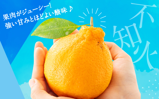 AA132.農家直送の不知火／約3kg（2027年2月発送予定)