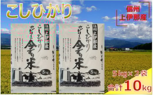 【019-05】　JA上伊那　令和６年産　コシヒカリ　今ずり米　10㎏　（5kg×2袋）