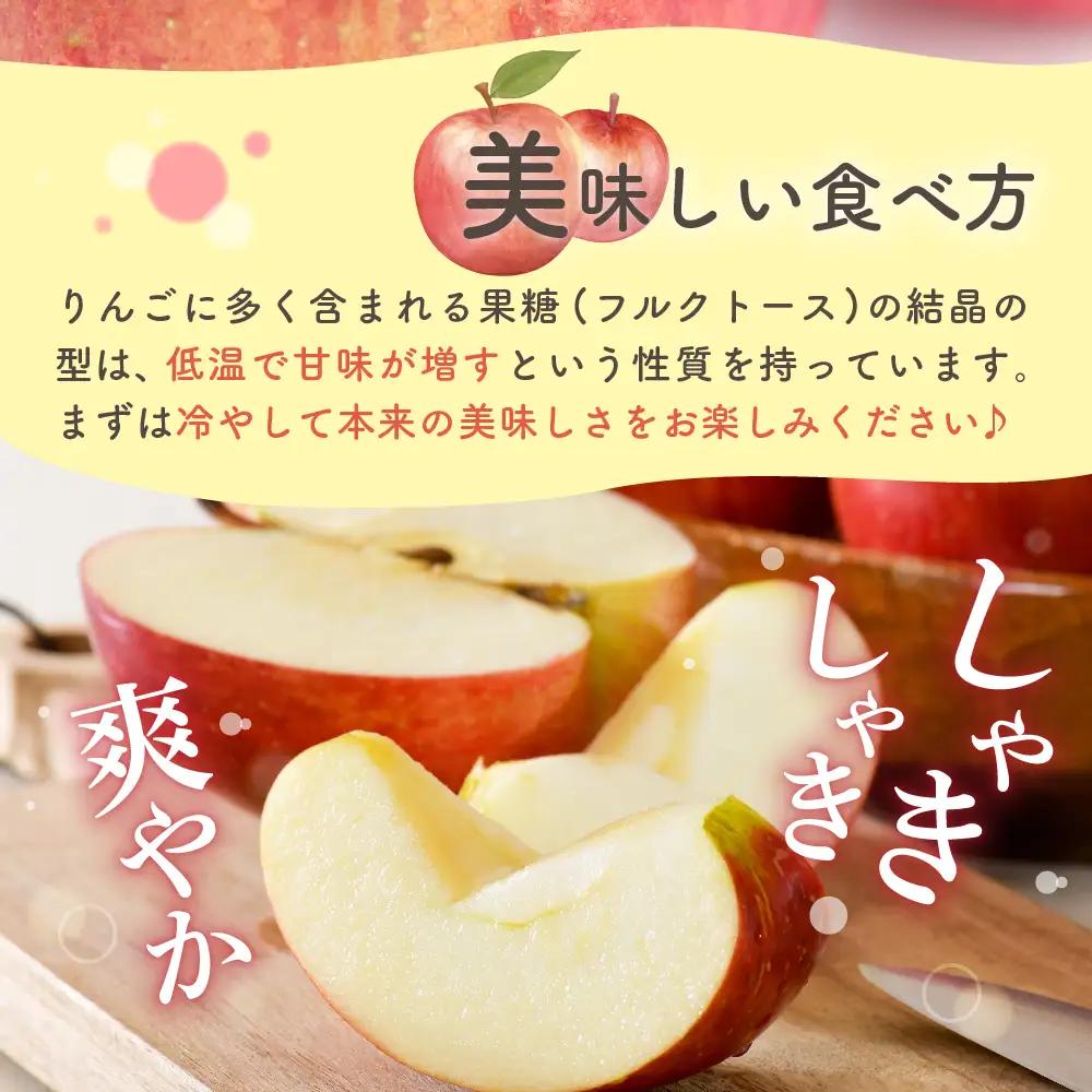 【2027年2月上旬発送】【訳あり】 りんご 約5kg 青森県産 サンふじ 家庭用 りんご